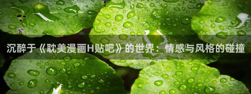 香蕉文化漫画大全：沉醉于《耽美漫画H贴吧》的世界：情感与风格的碰撞