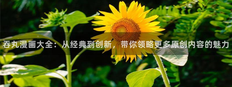 免费观看香蕉漫画：吞丸漫画大全：从经典到创新，带你领略更多原创内容的魅力
