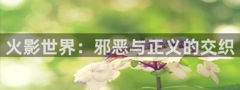 香蕉漫画如何免费获得阅读币：火影世界：邪恶与正义的交织