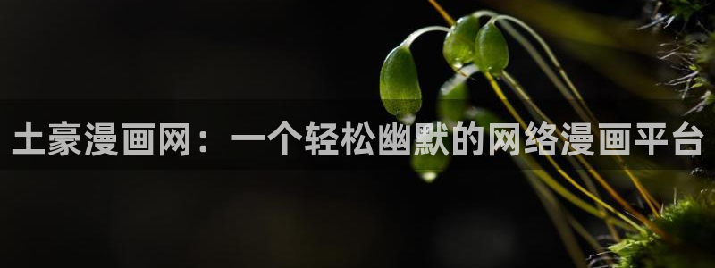 香蕉漫画免费阅读在线