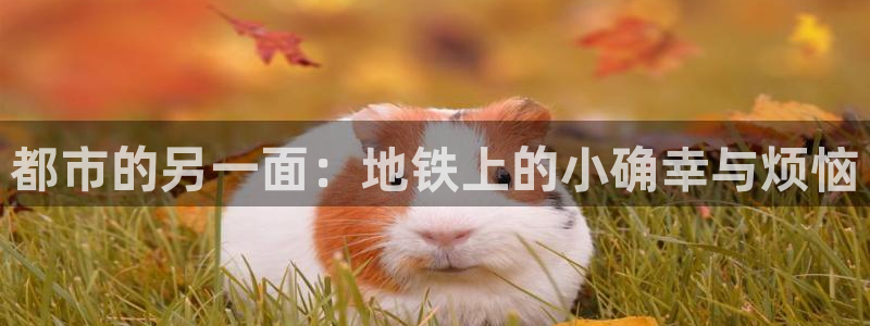 韩国香蕉漫画在线观看