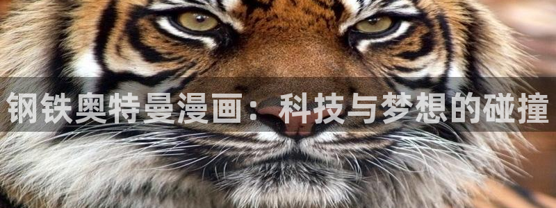 香蕉文化漫画免费在线观看